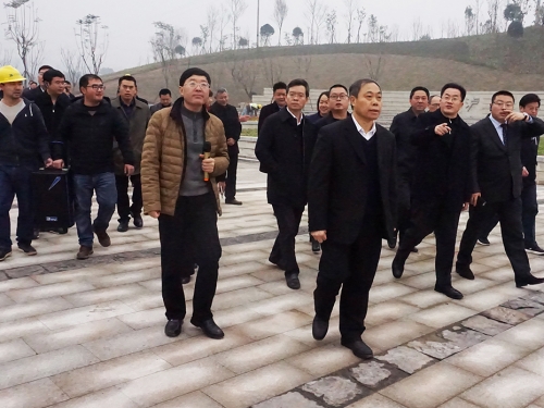 市委书记蒋辅义带队调研长江生态湿地公园