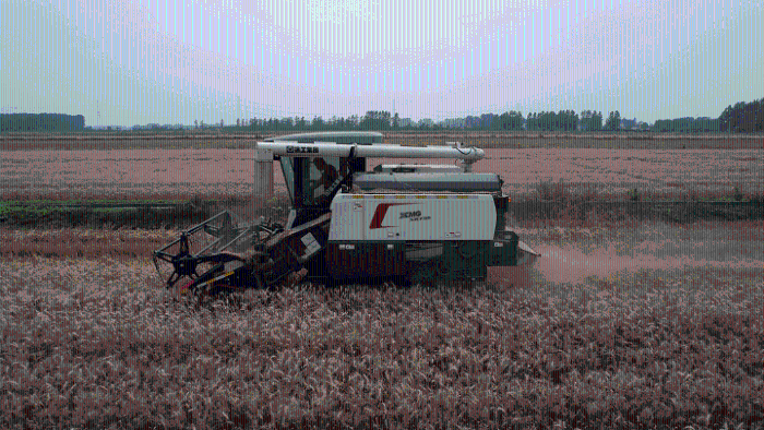 1dd7e4264ee441cda1660de2f5b63fb4