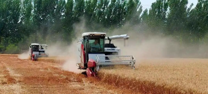 d8e5c021eaed4ab6b2e0637174da94a5