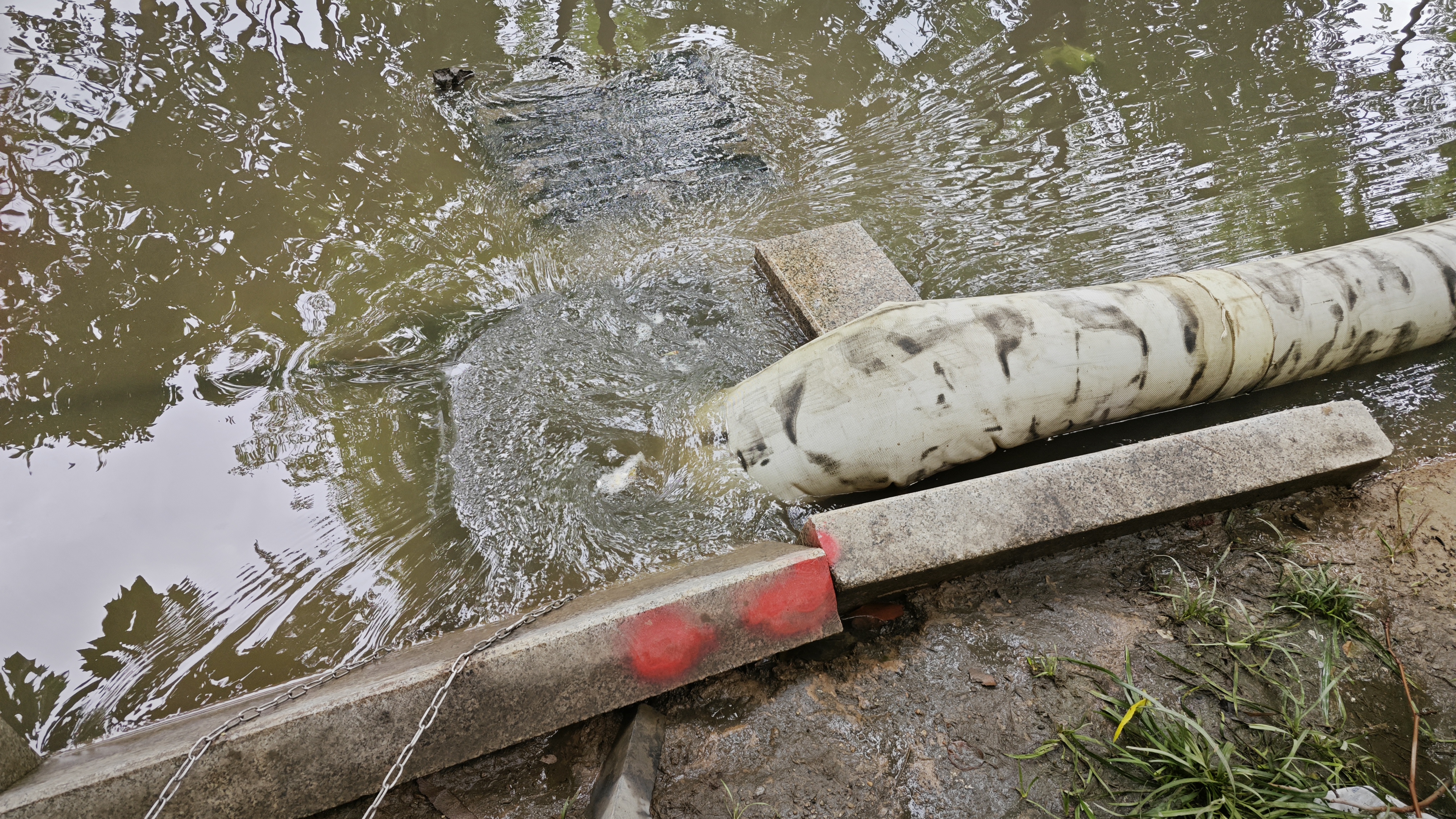 首页| 优德88中国集团官方网站