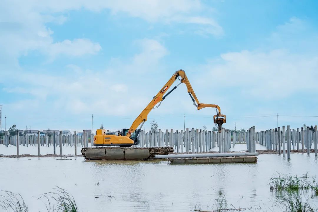 首页| 优德88中国集团官方网站