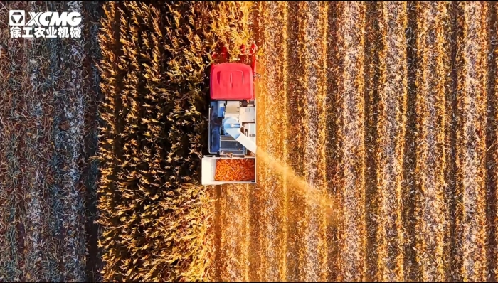 89ad016487154a5ba64a56935b79cde8