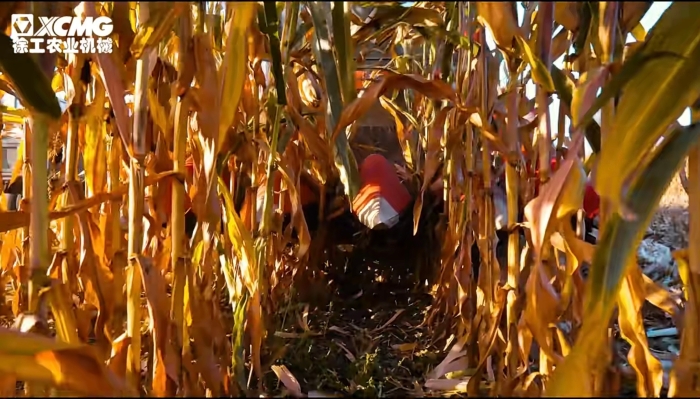 faaec8b2280e483faf26ddc512677fcb