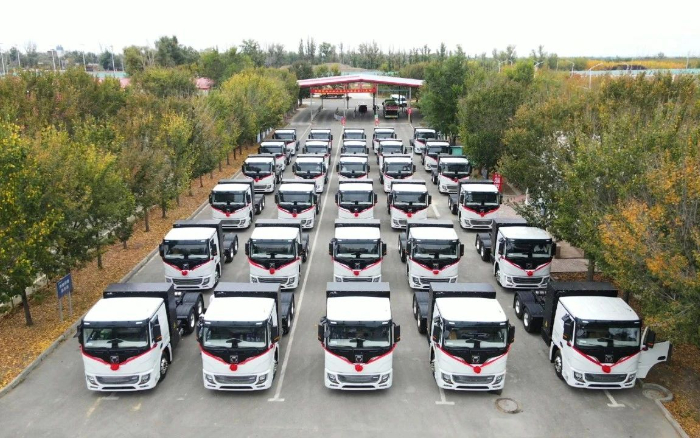 c562607d3a474031a76ce14658945ba5