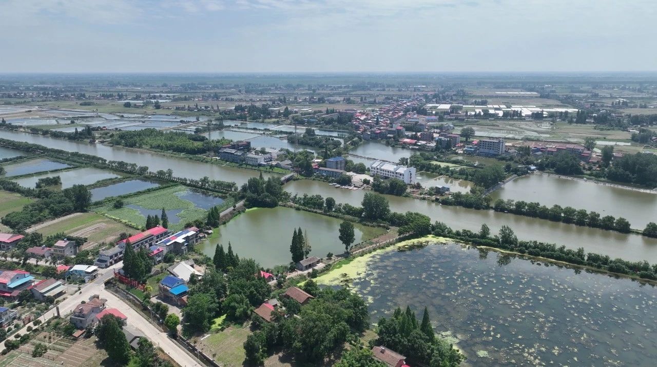 首页| 优德88中国集团官方网站