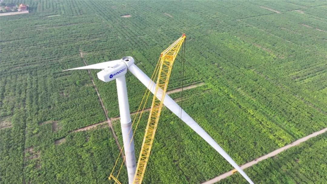 首页| 优德88中国集团官方网站