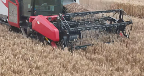 首页| 优德88中国集团官方网站