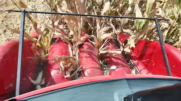 首页| 优德88中国集团官方网站