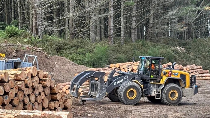 2b5bf6e380ea4be396486a0f349b82e4